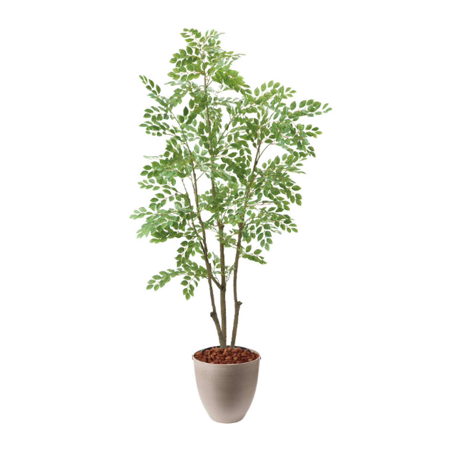 �y5�����ɗ\��z�y�����ʓrB�z180CM��غ