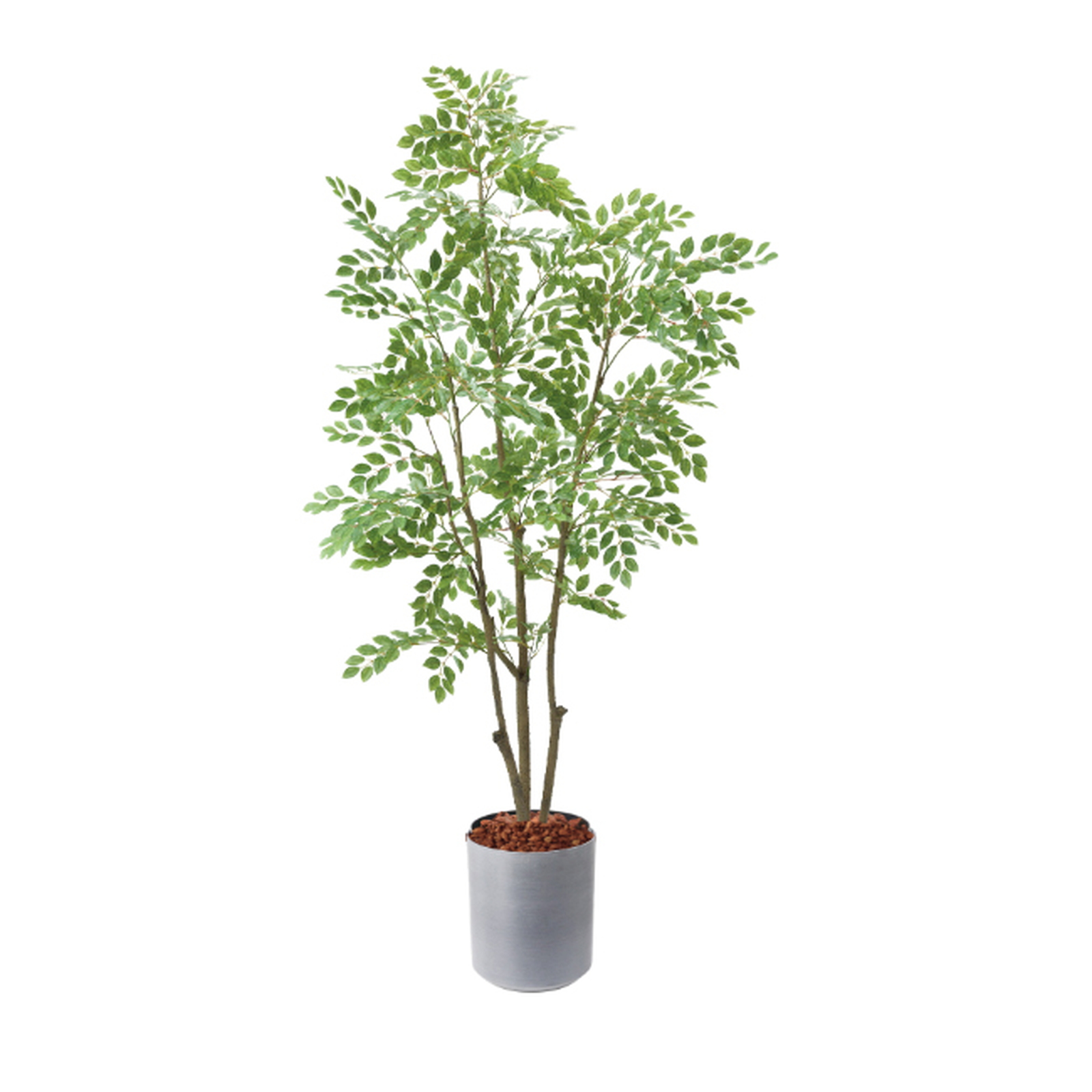 �y5�����ɗ\��z�y�����ʓrB�z180CM��غ