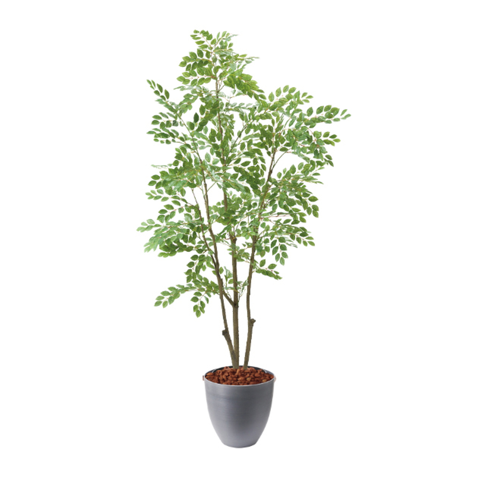 �y5�����ɗ\��z�y�����ʓrB�z180CM��غ