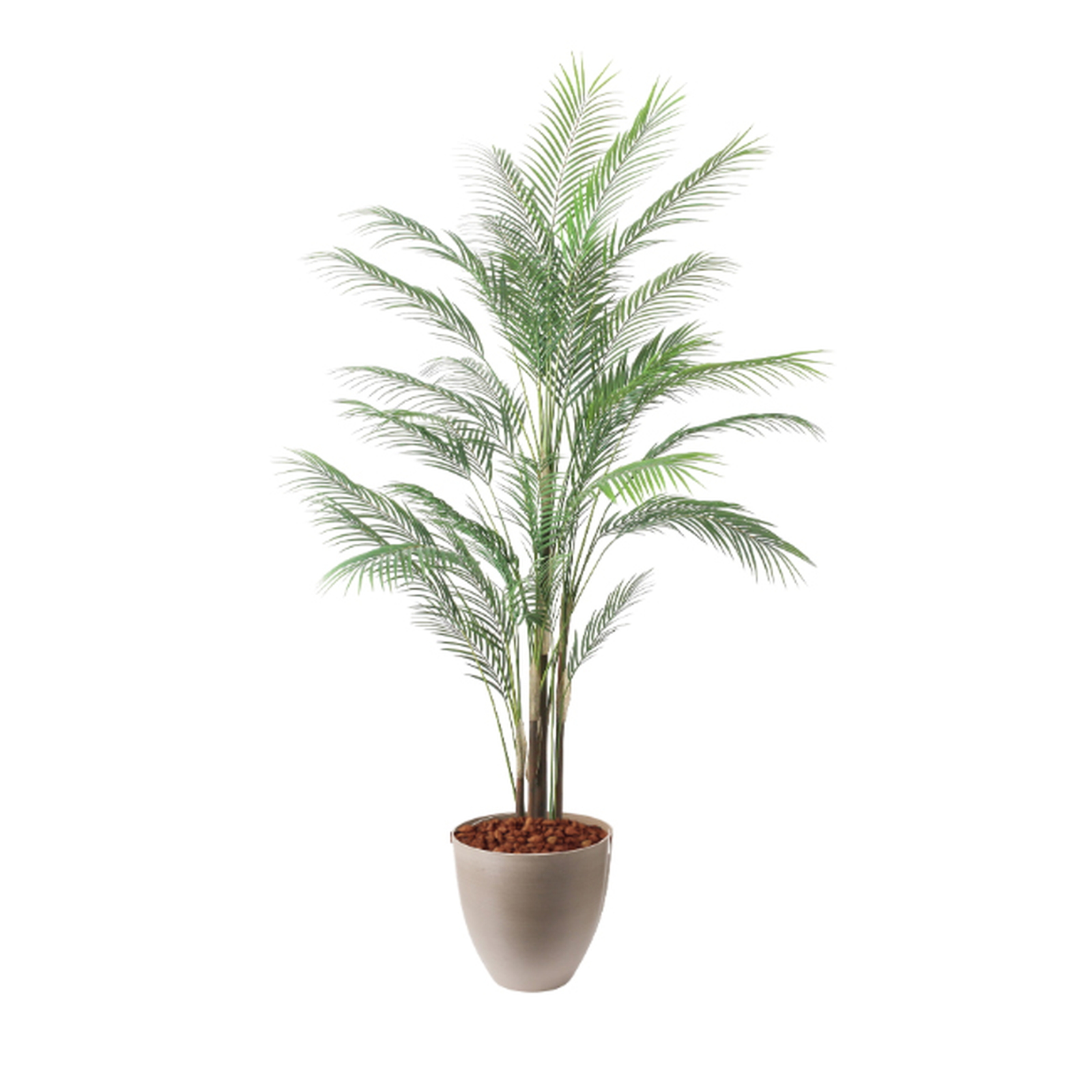 �y5�����ɗ\��z�y�����ʓrB�z185CM�ڶԼL