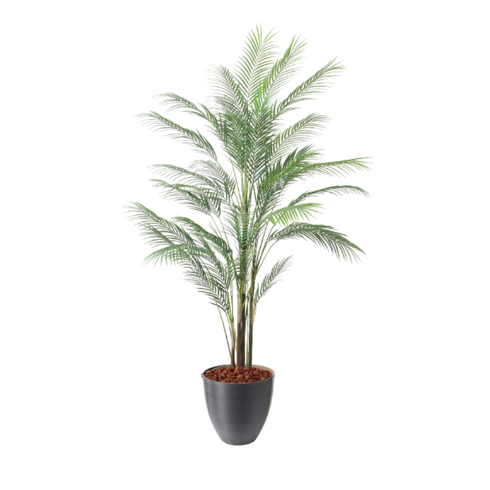 �y5�����ɗ\��z�y�����ʓrB�z185CM�ڶԼL