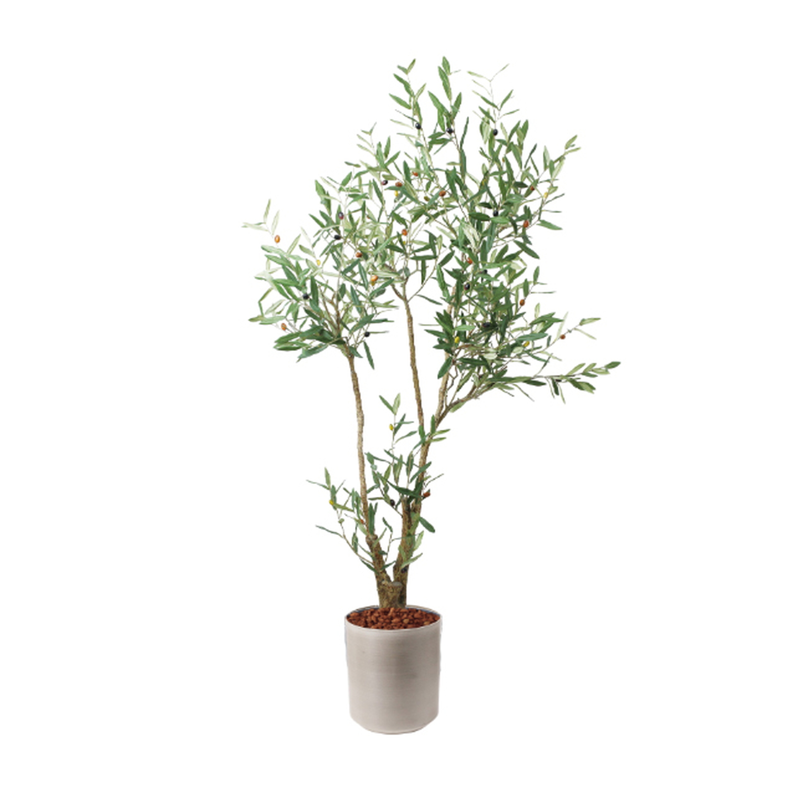 �y5�����ɗ\��z�y�����ʓrB�z180CM�ذ��