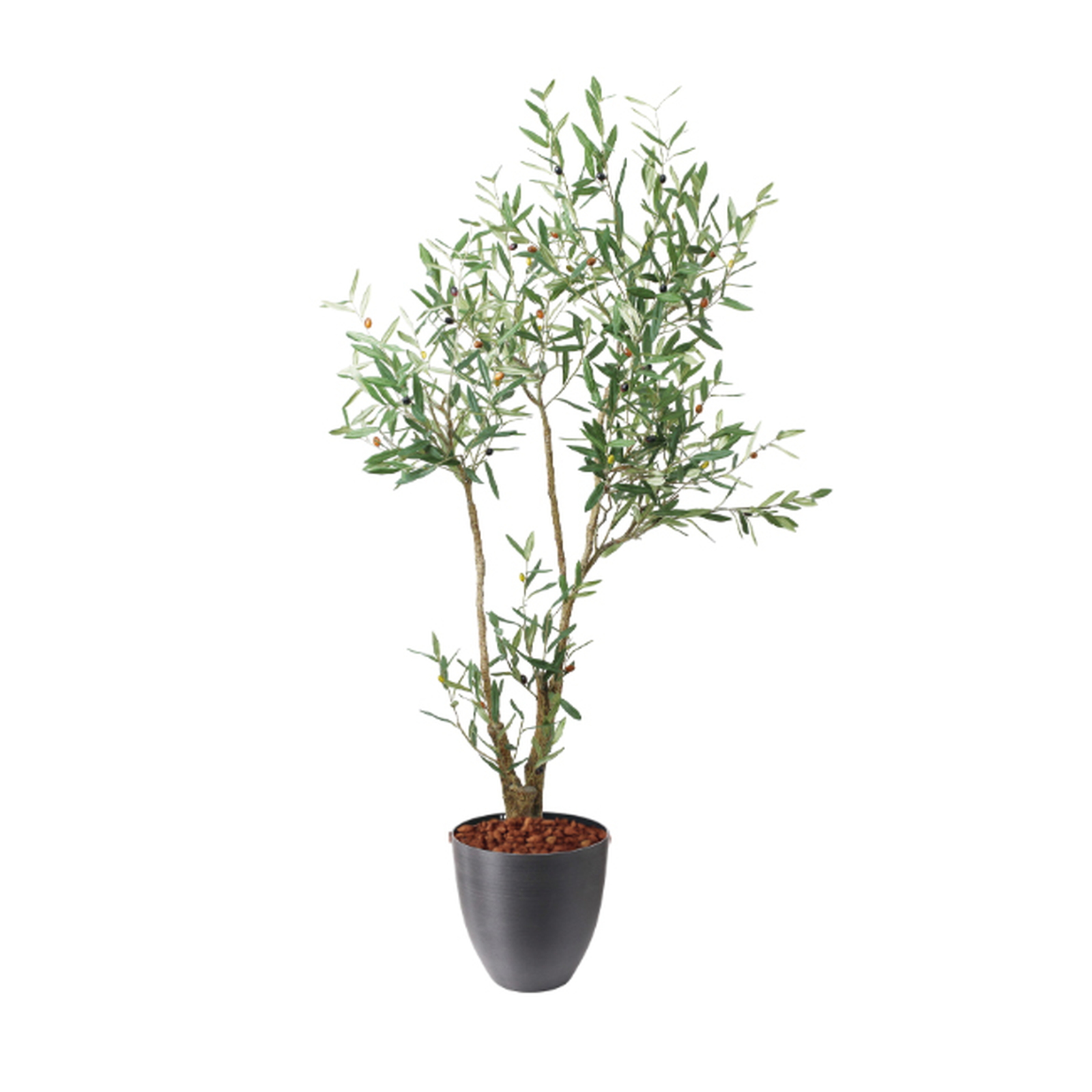 �y5�����ɗ\��z�y�����ʓrB�z180CM�ذ��