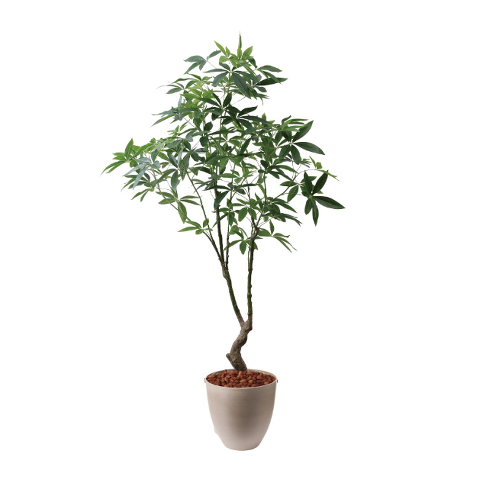 �y5�����ɗ\��z�y�����ʓrB�z180CM�߷�