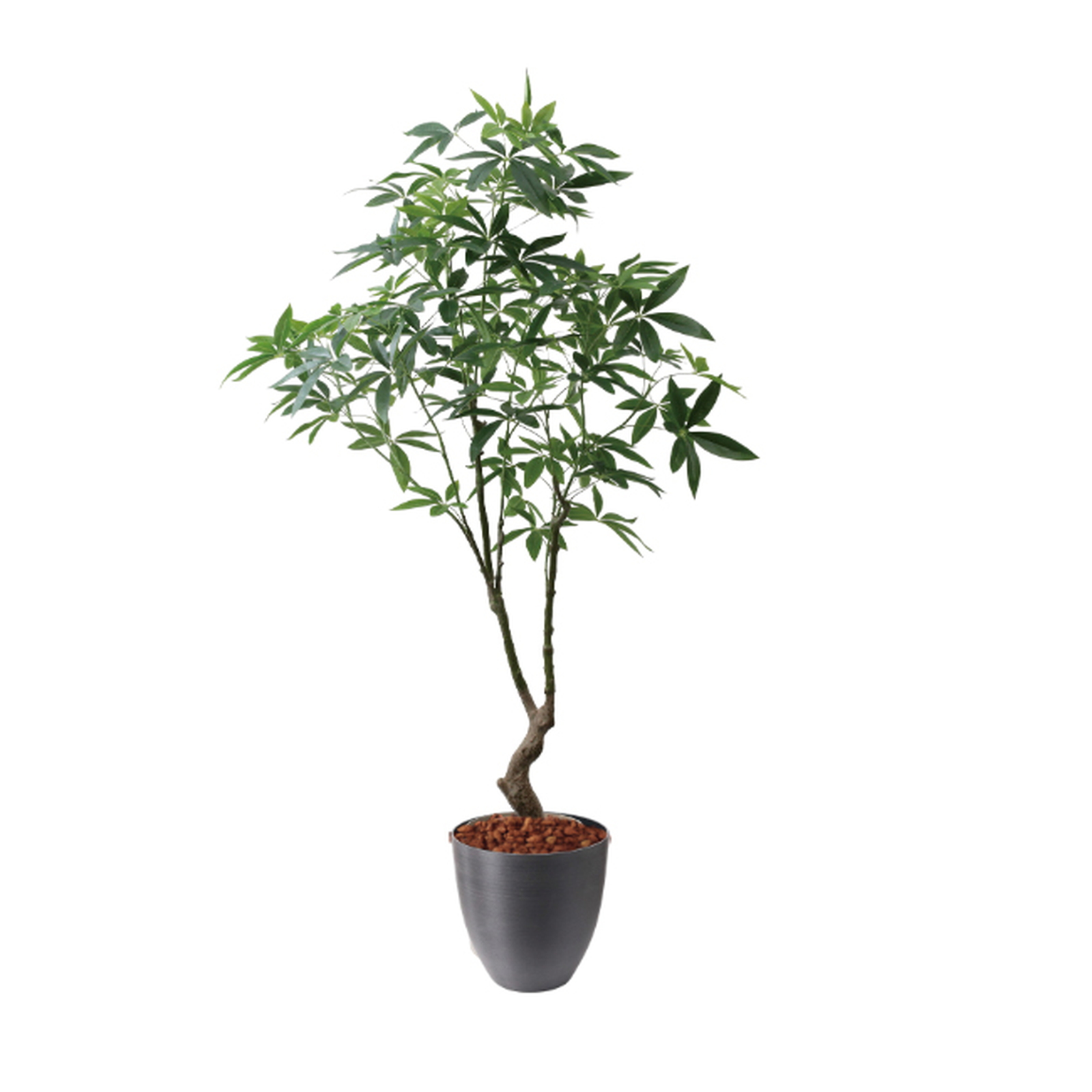 �y5�����ɗ\��z�y�����ʓrB�z180CM�߷�