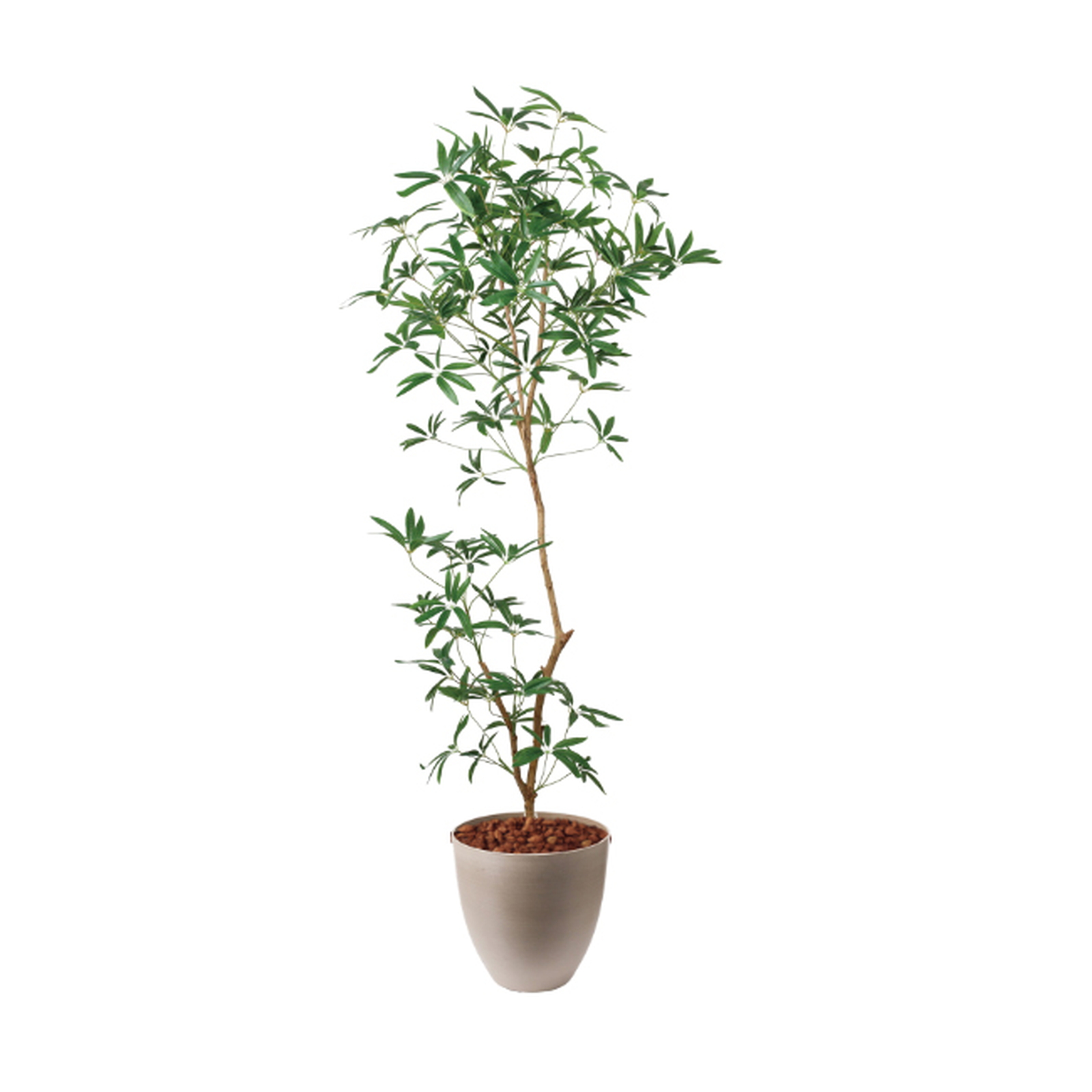 �y5�����ɗ\��z�y�����ʓrB�z180CM����ױݶ޽è̫ر