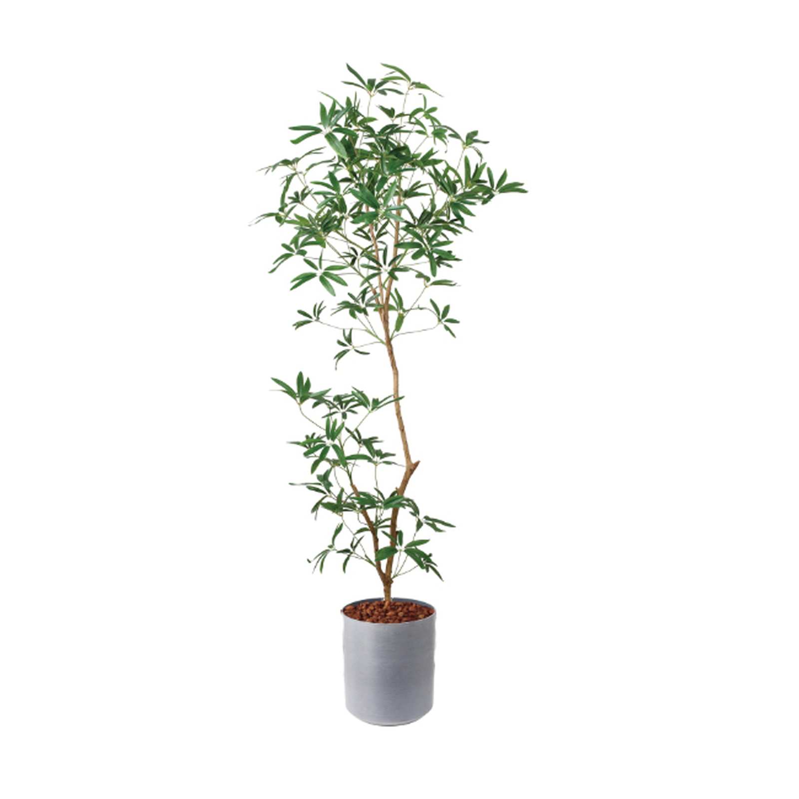 �y5�����ɗ\��z�y�����ʓrB�z180CM����ױݶ޽è̫ر