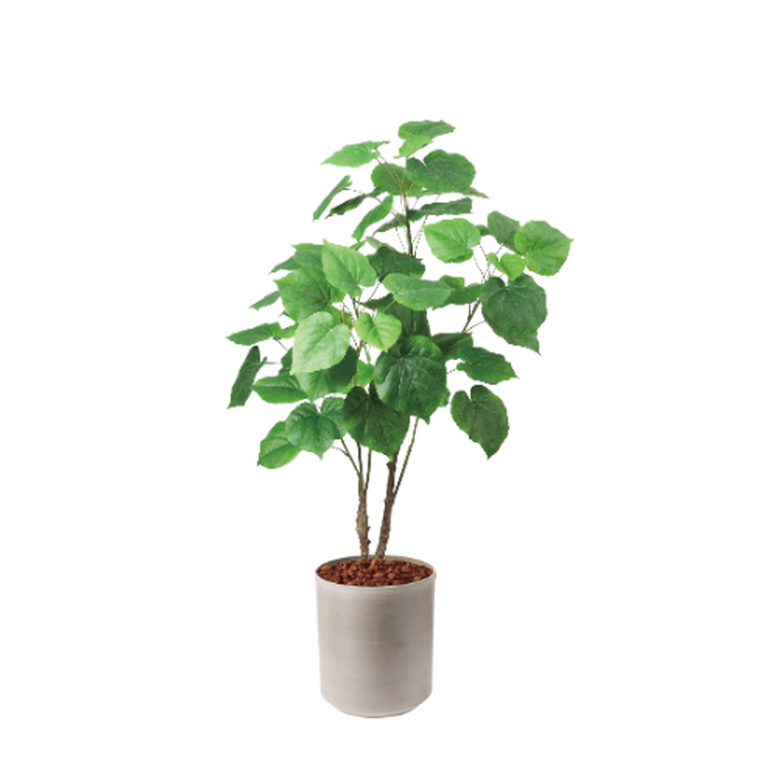 �y5�����ɗ\��z�y�����ʓrA�z120CM����װ�