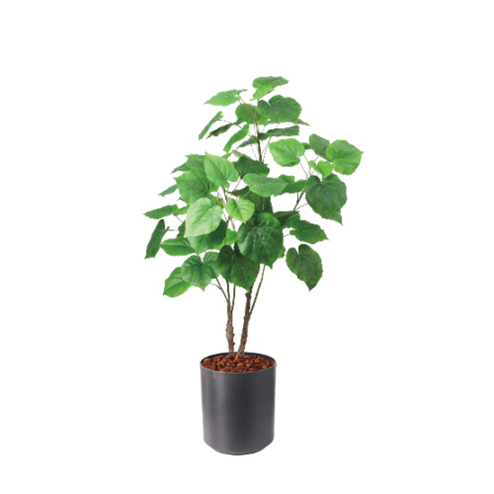 �y5�����ɗ\��z�y�����ʓrA�z120CM����װ�