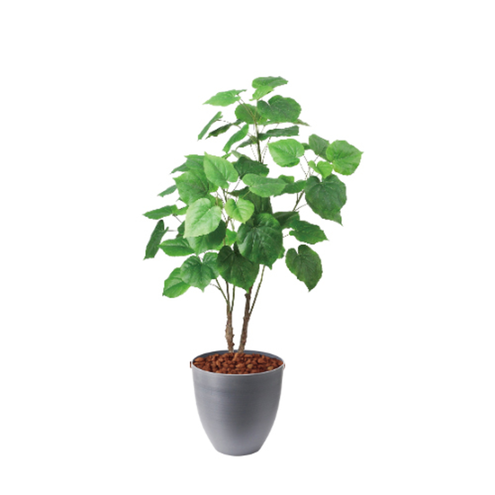 �y5�����ɗ\��z�y�����ʓrA�z120CM����װ�