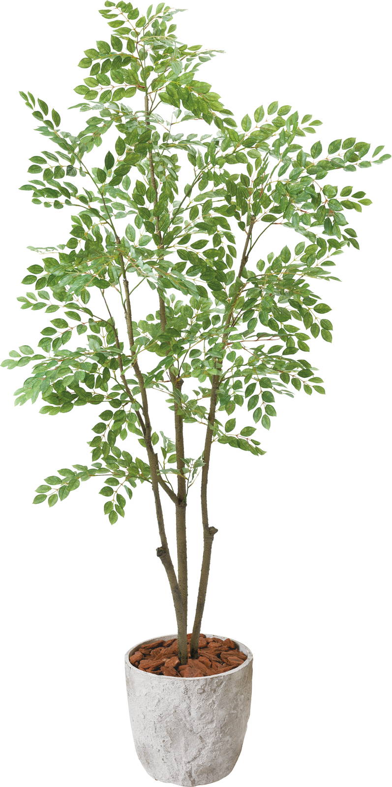 【送料別途B】トリネコ1.8M