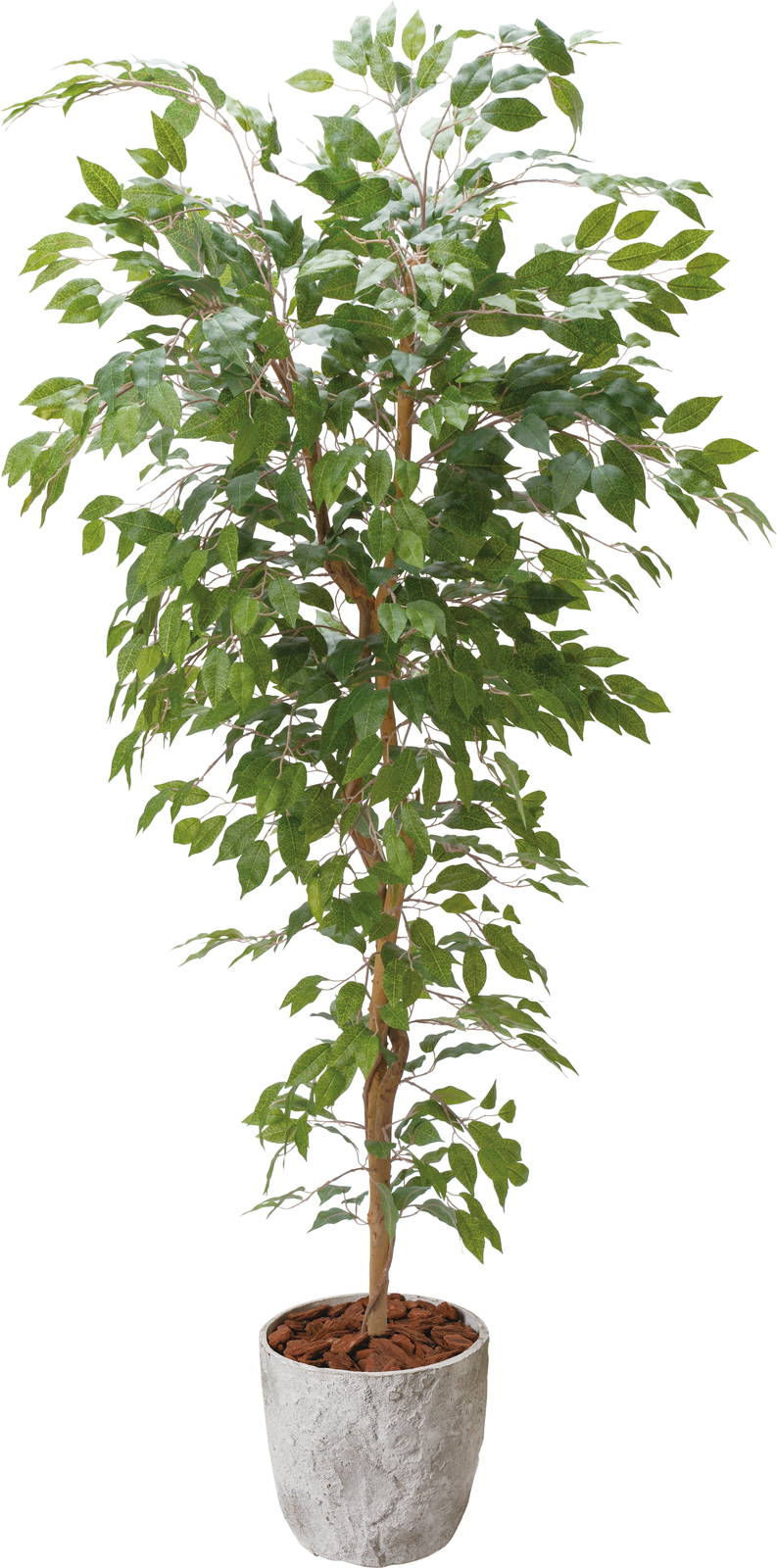 �y�����ʓr�a�z��ݼެ��̨���@1.8m