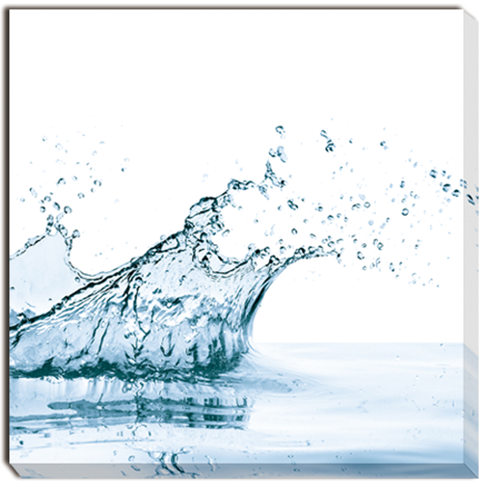 【個人宅配送不可】waterspiashwith(2枚セット)