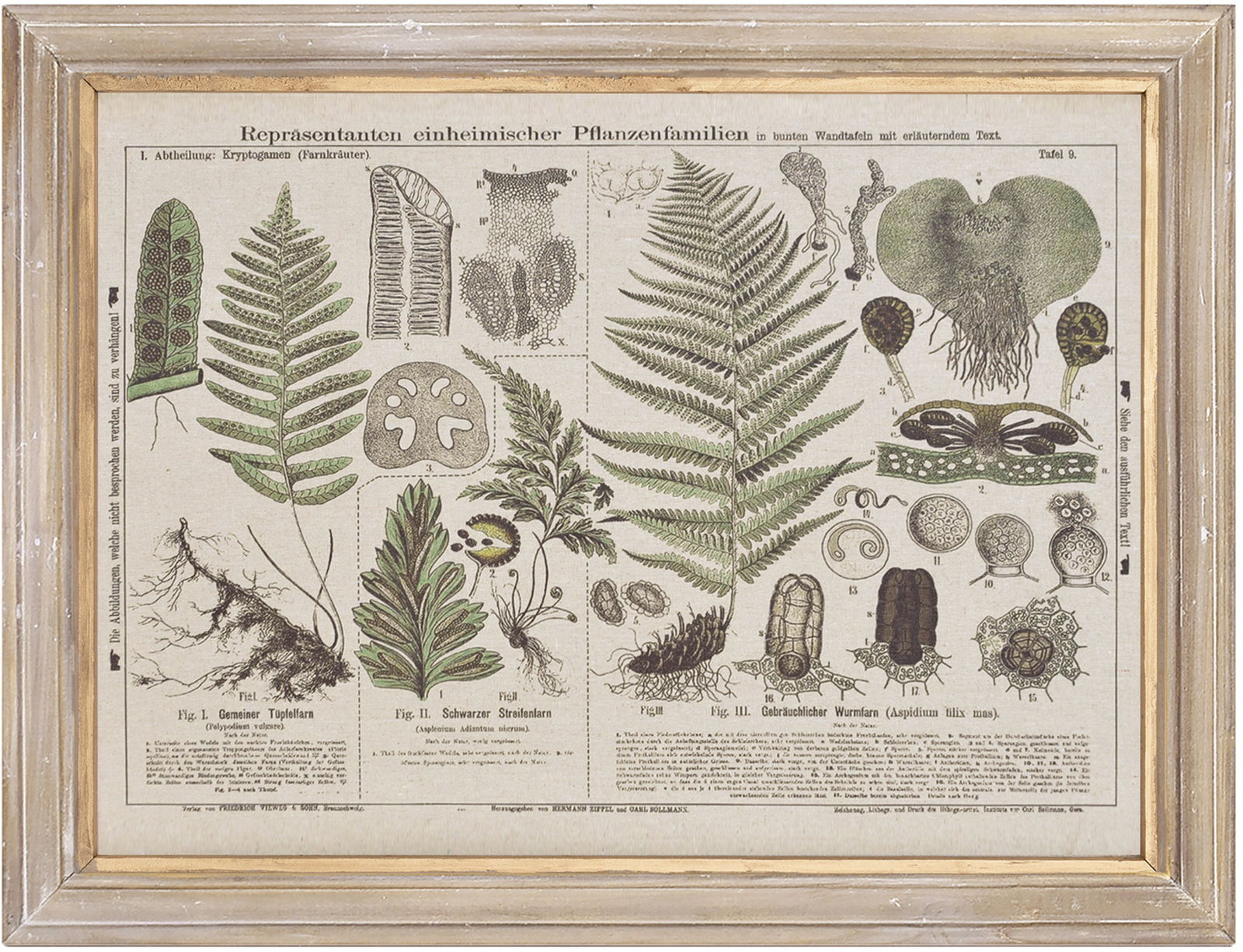 �y�l��s�z���ٱ���ڰ�42