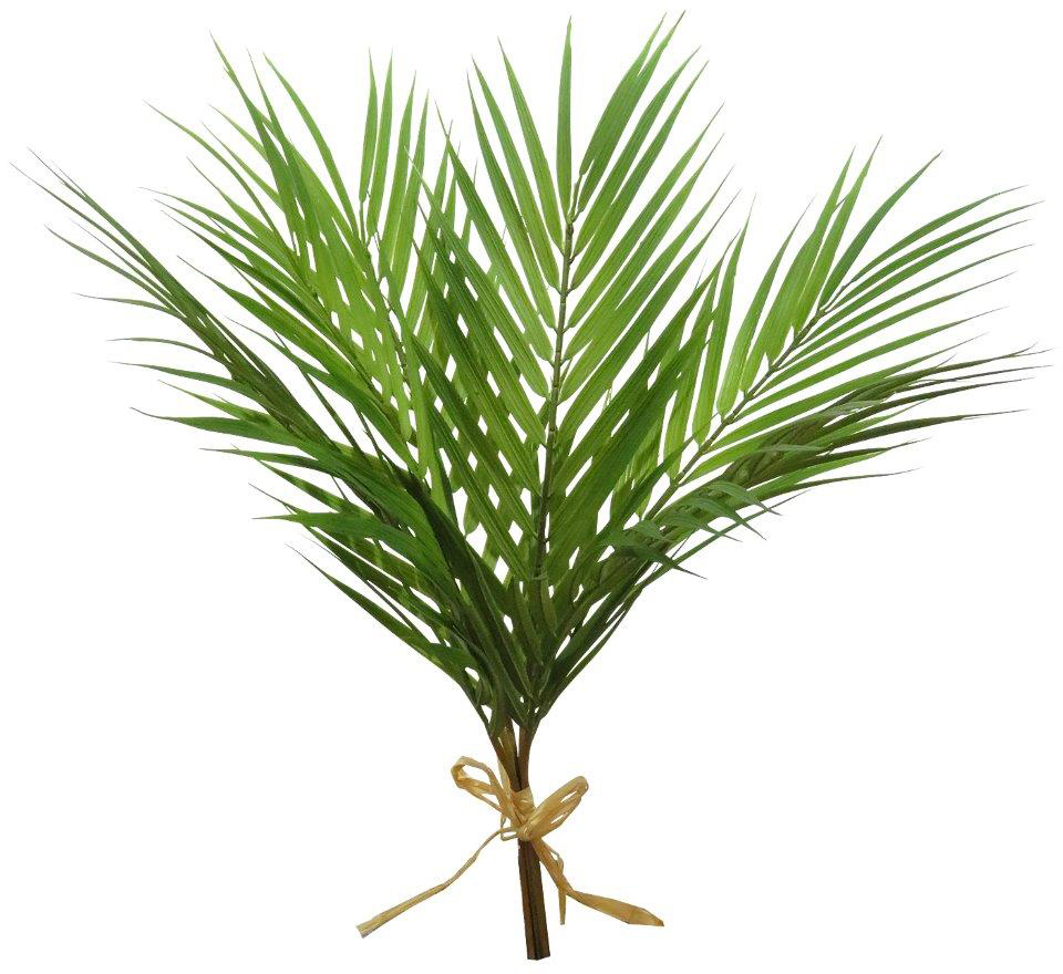 ���ްԼ�����(6�{���j