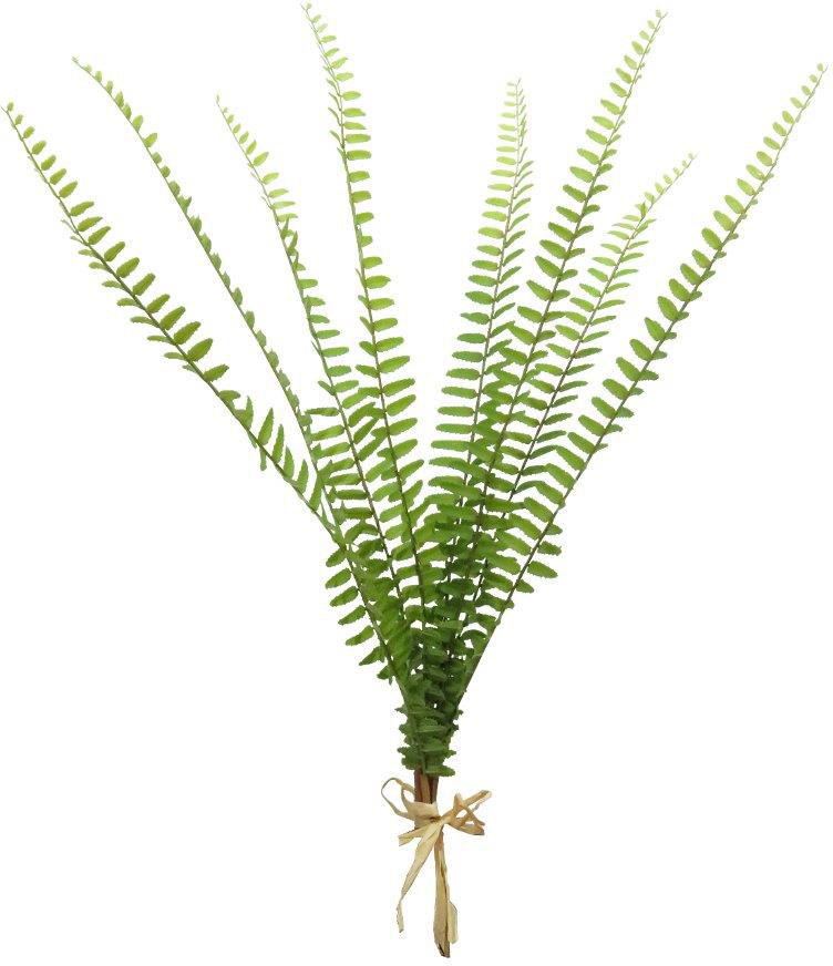 �ϼ�������(8�{���j