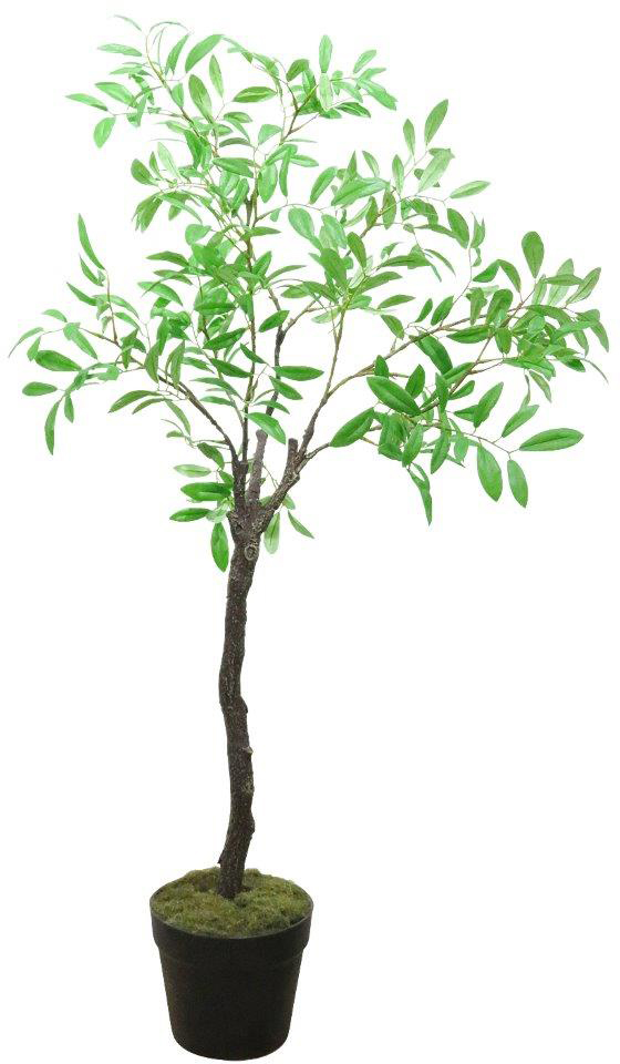 ���ر�ڶ������