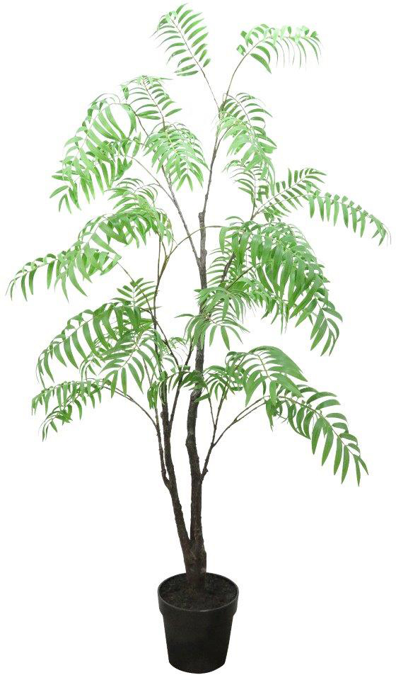 �����ڱ�ڶ�ݽ������