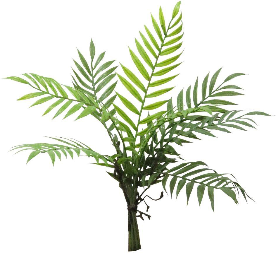 ��ر̧������āi8�{���j