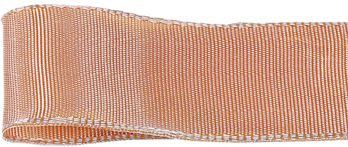 イクシーズ(ワイヤーイリ) 40X12 31