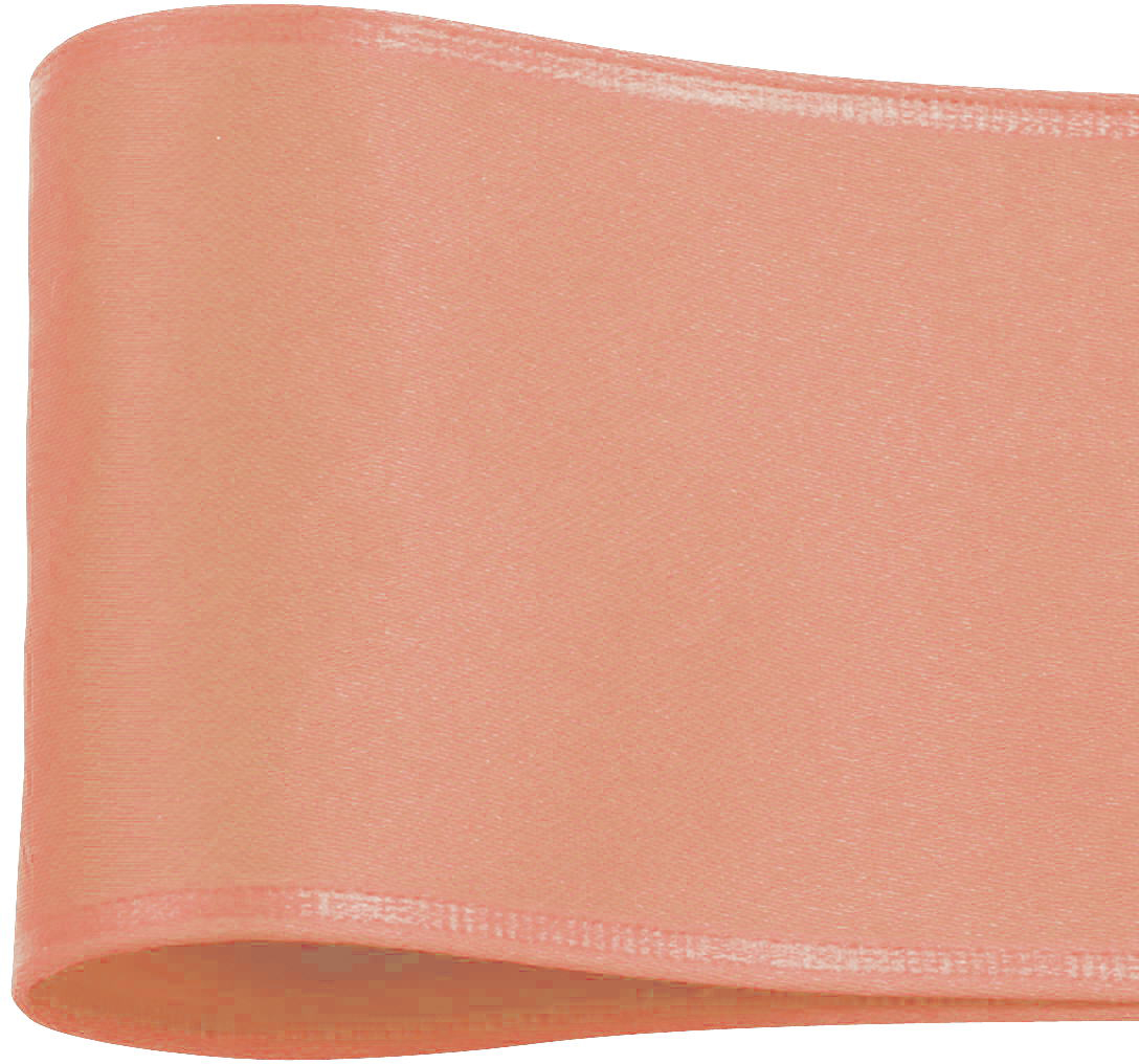 ƭ�ذ��ٻ�ݴ�ܲ԰  100X10�@23