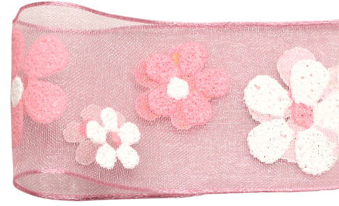 ����ݸ���ܰ��  40X10�@23