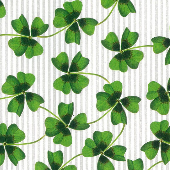 リュックスペーパー(クローバー) 39