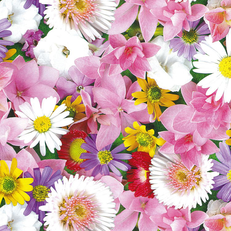 リュックスペーパー(シュヴリエ) 47