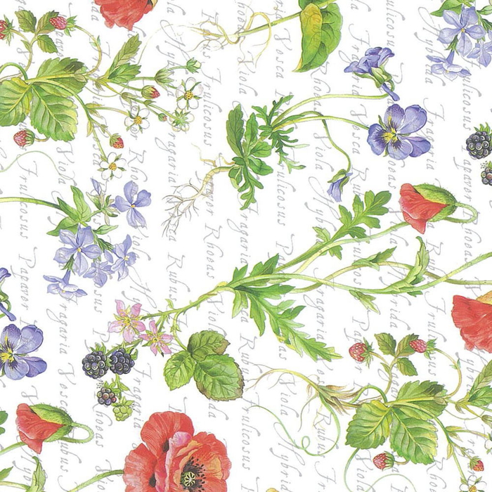 25P)Ľ��Ž���ް���߰�߰11