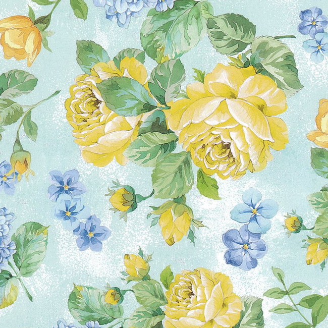 25P)トスカーナスタンダードペーパー14