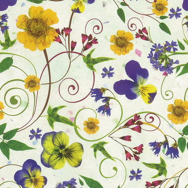 25P)Ľ��Ž���ް���߰�߰15