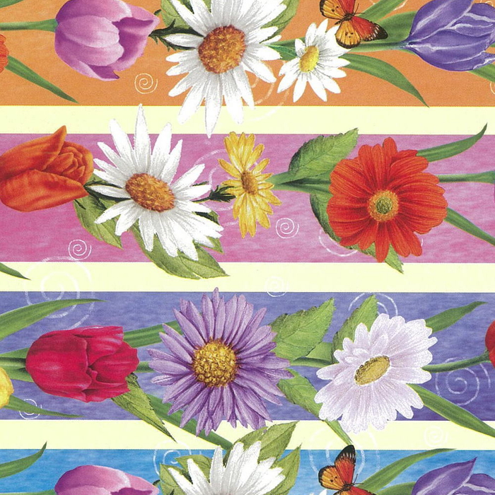 25P)Ľ��Ž���ް���߰�߰16