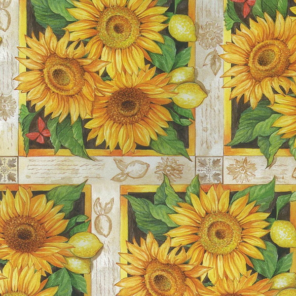 25P)Ľ��Ž���ް���߰�߰17