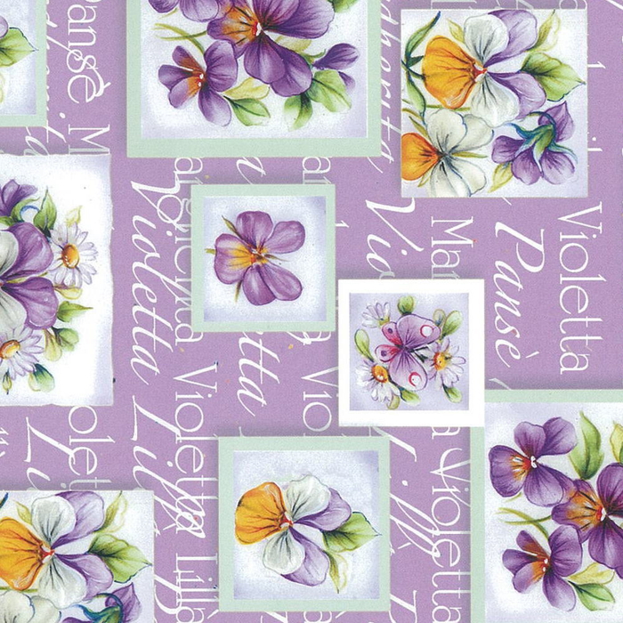 25P)Ľ��Ž���ް���߰�߰18