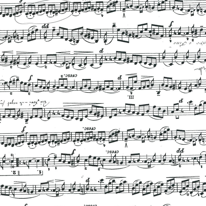 25P)Ľ��Ž���ް��23