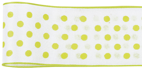 �߯���ޯ�(ܲ԰��)  36X9�@5