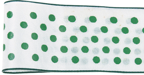 �߯���ޯ�(ܲ԰��)  36X9�@10