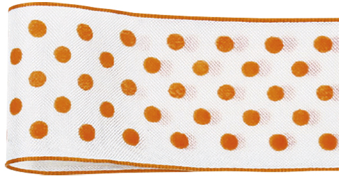 �߯���ޯ�(ܲ԰��)  36X9�@43