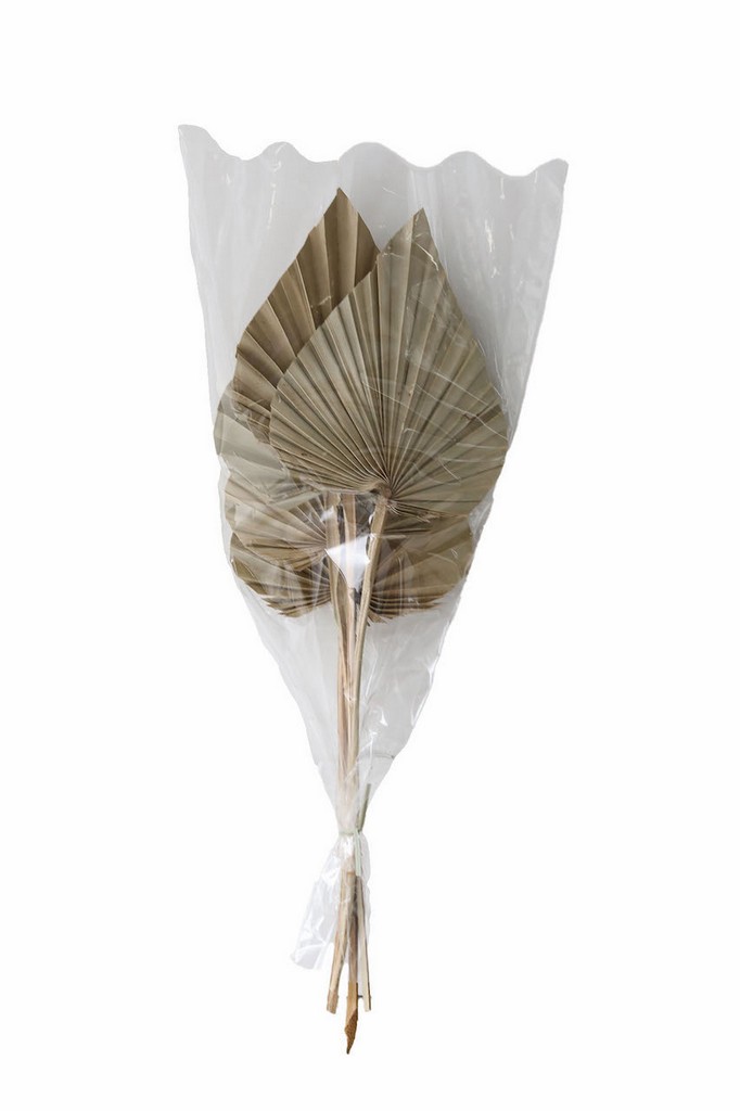 �y�l��s�z�߰ѽ�߰�ޥ����� 5P���