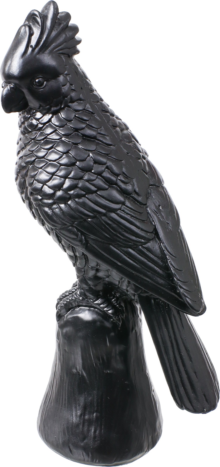 ڼ����ۯĽ���� BLK