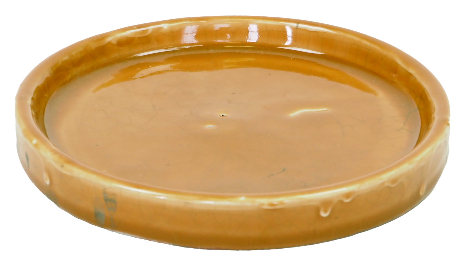 �y�l��z���s�z�󂯎M 1506