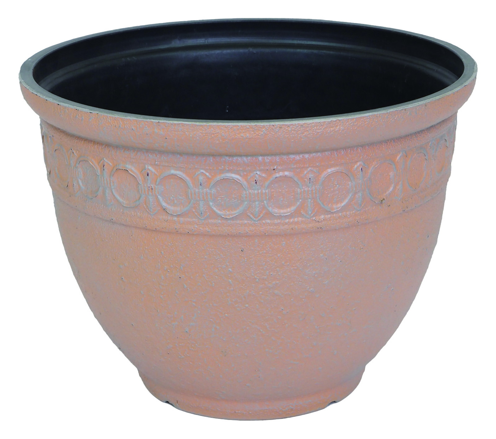 ylzszޯ߯Rose Dawn