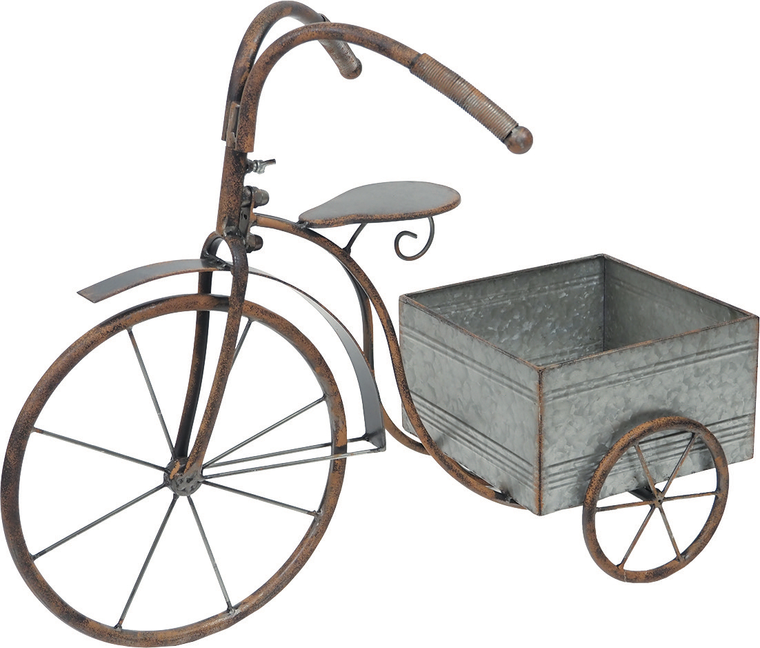 �y�l��z���s�z��è���ײ���������