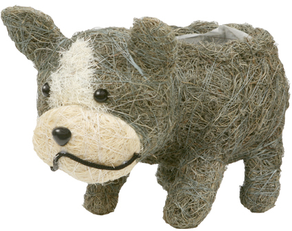 �����޽��� ������� ��ڰ