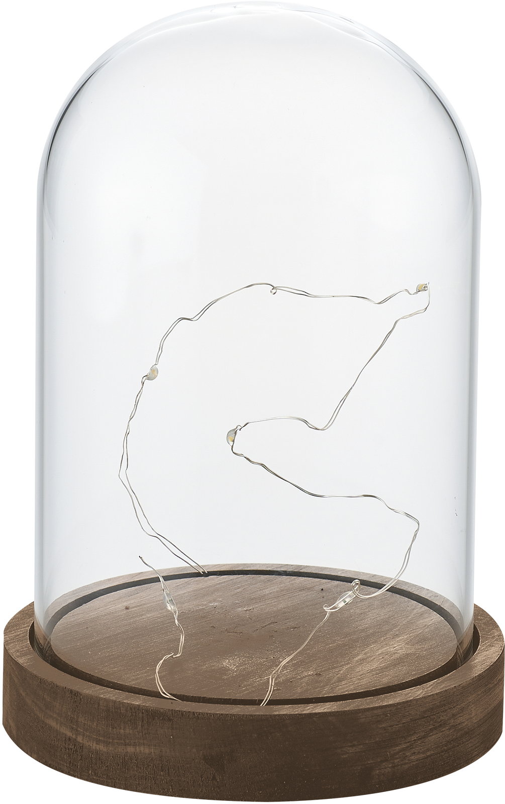 yʓrzylszLEDt׽ް