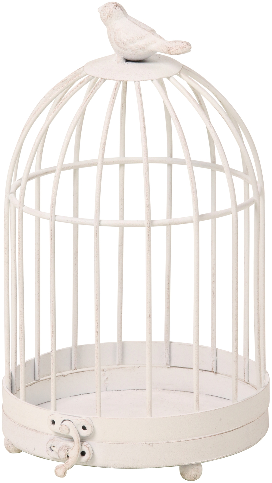 ��è����ط �ް�޹ް��S �ܲ�