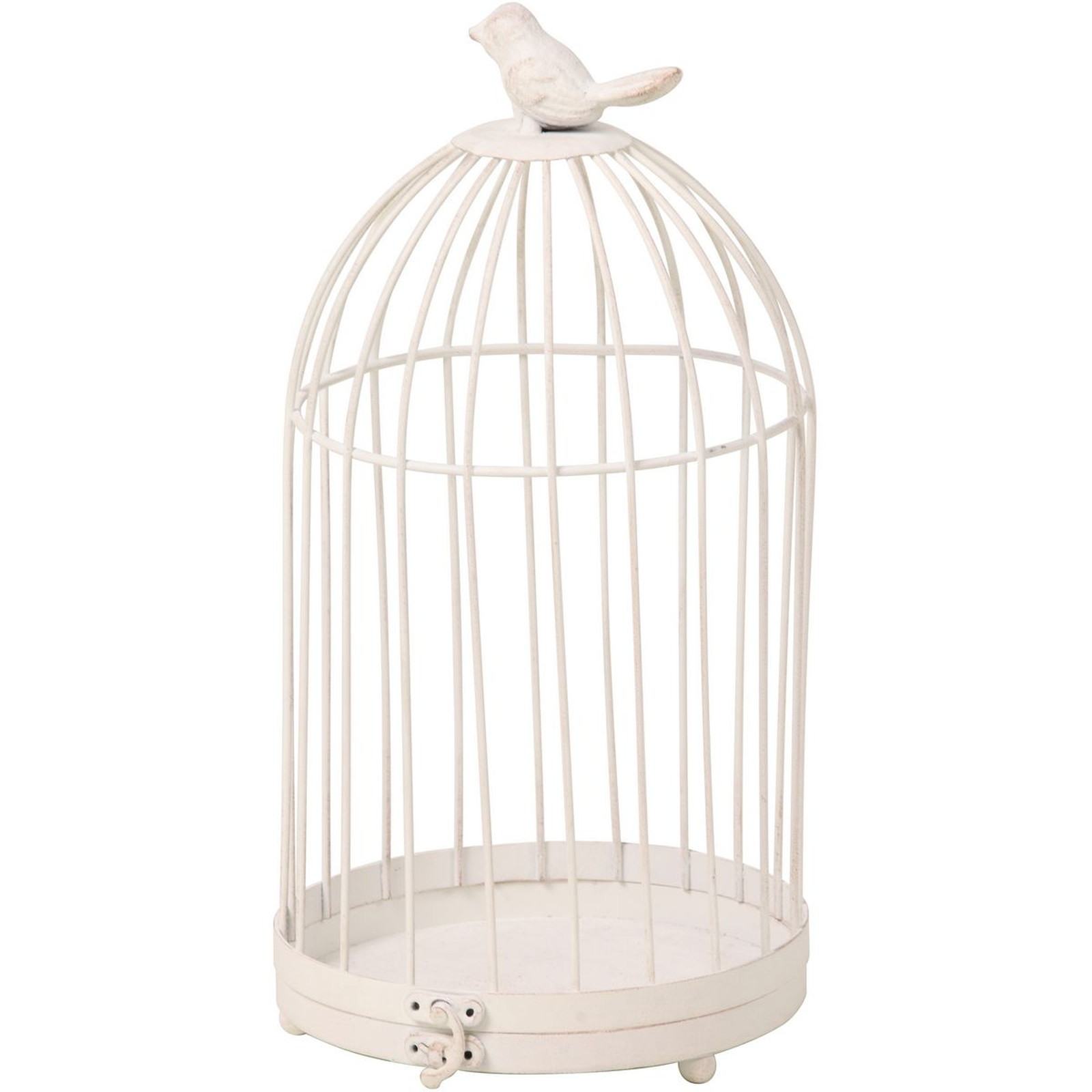 ��è����ط �ް�޹ް��L �ܲ�