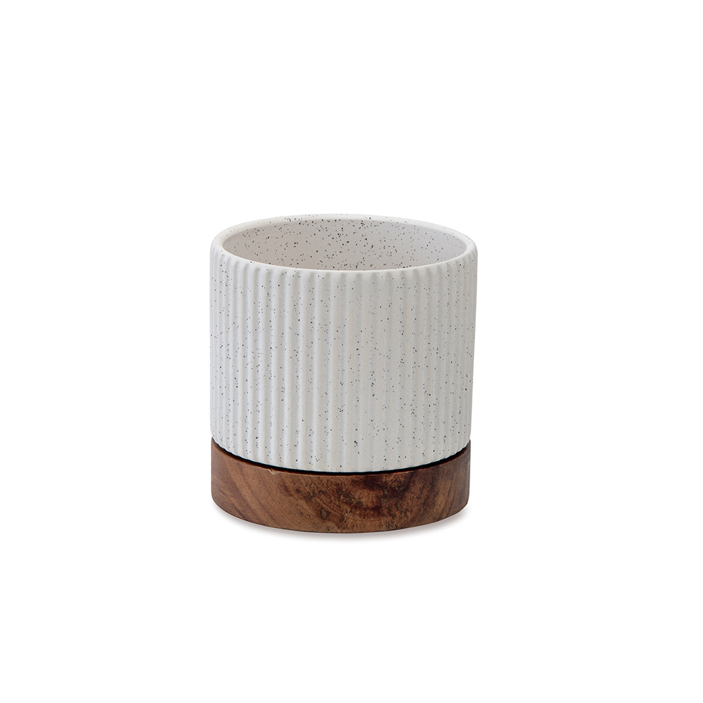 �y�l��z���s�z���ި�߯� �ܲ�