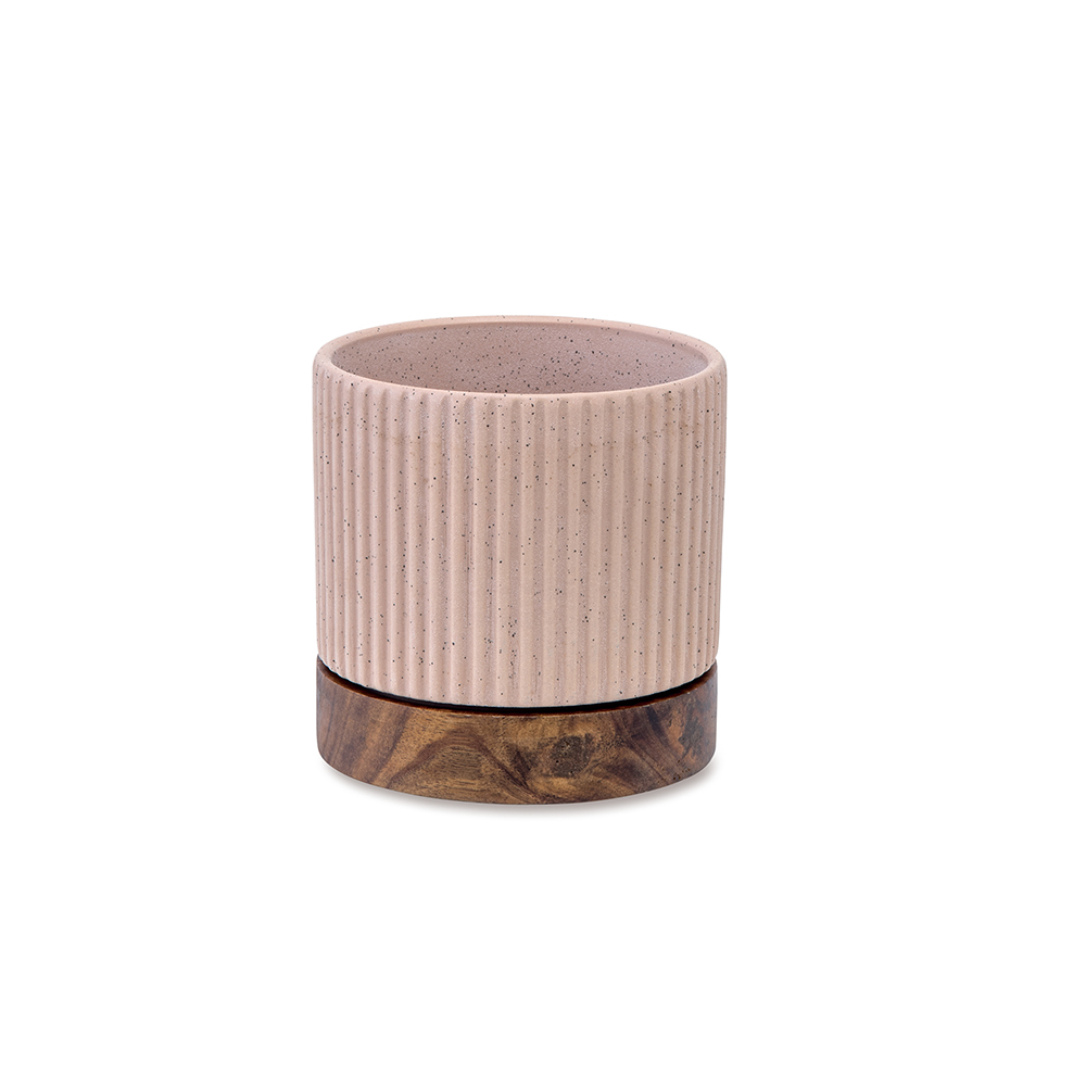 �y�l��z���s�z���ި�߯� �ް�ޭ