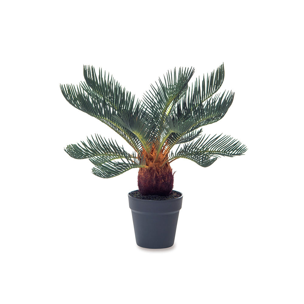 �y�l��z���s�z���